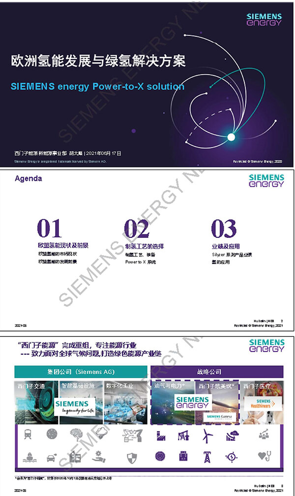 西門子胡大麟：歐洲氫能發展與綠氫解決方案