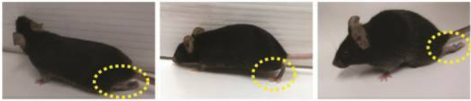 氫氣吸入和氫鹽水注射效果哪個強 氫氣醫學研究的重點在疾病治療效果確定性