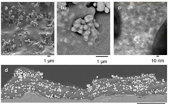 太陽光催化分解水制氫取得“大”突破.jpg 太陽光催化分解水制氫取得“大”突破.jpg