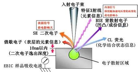 圖2入射電子束在樣品中激發(fā)出的各種信號.jpg