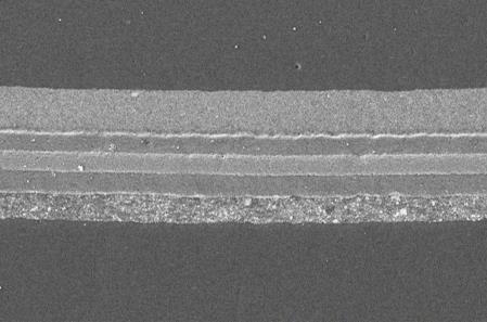 圖6. SEM下批量化截面磨拋后樣品.jpg